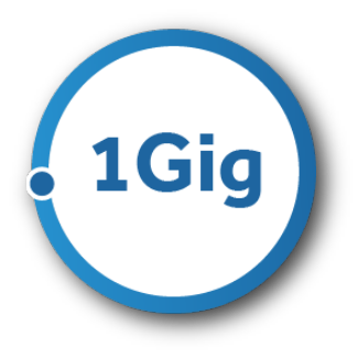 Gauge that shows 1 Gig 