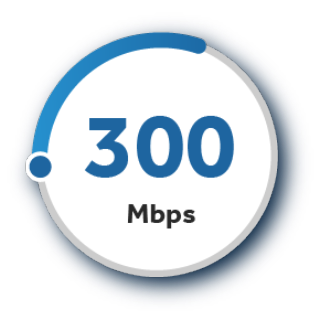 Gauge that shows 300 Mbps