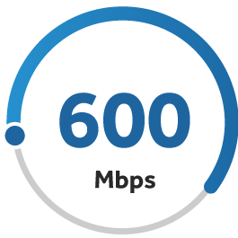 Gauge that shows 600 Mbps